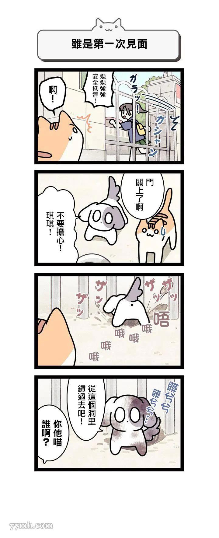 第 4 页