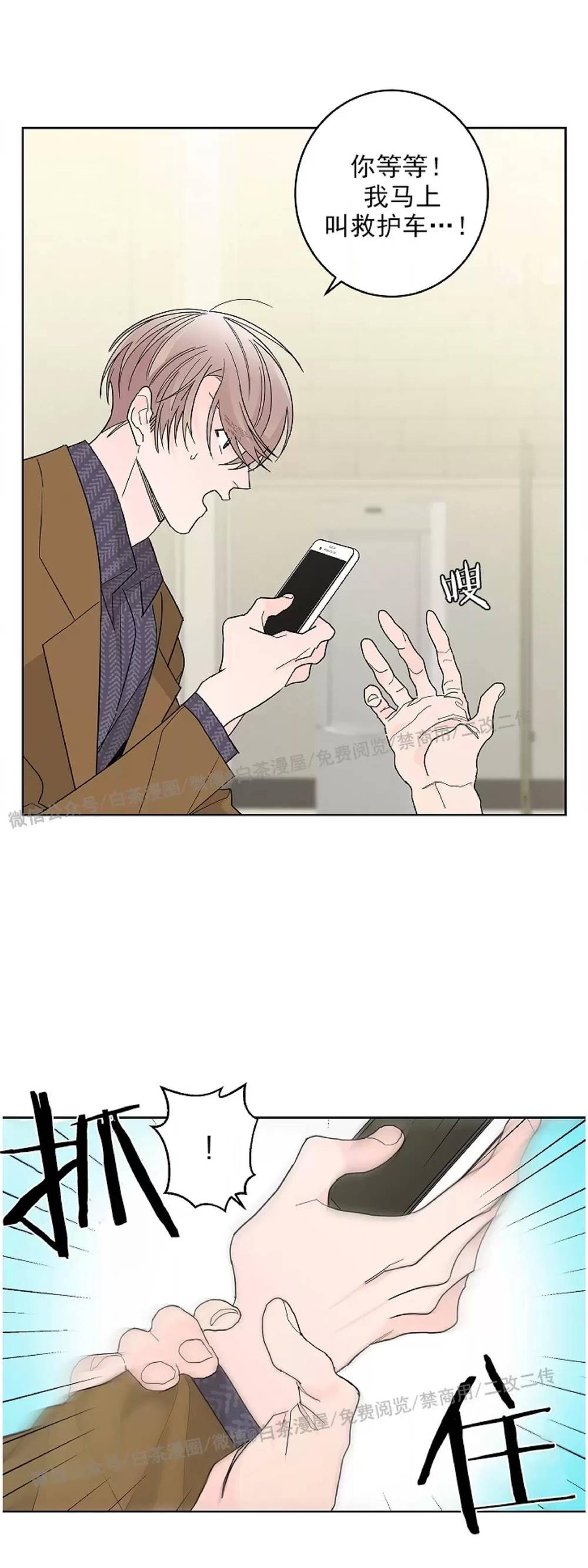 第 41 页