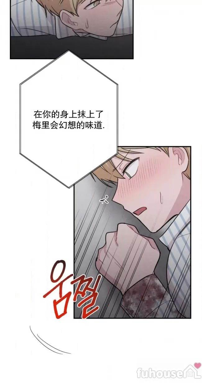 第 42 页