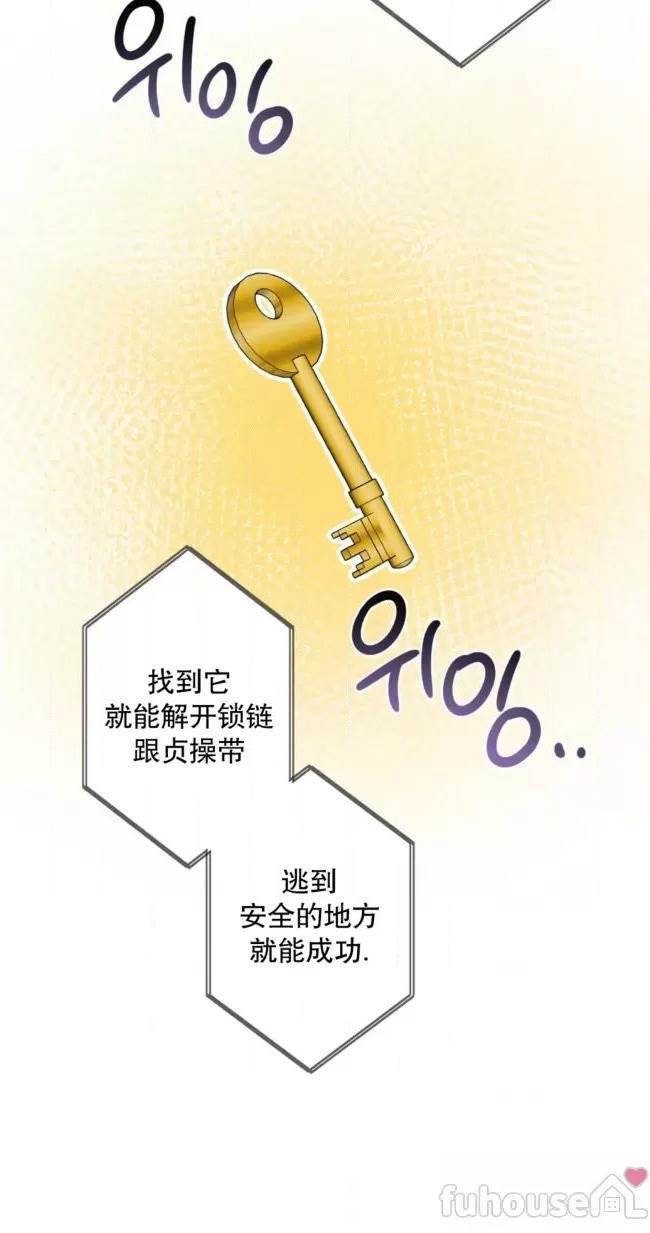 第 50 页