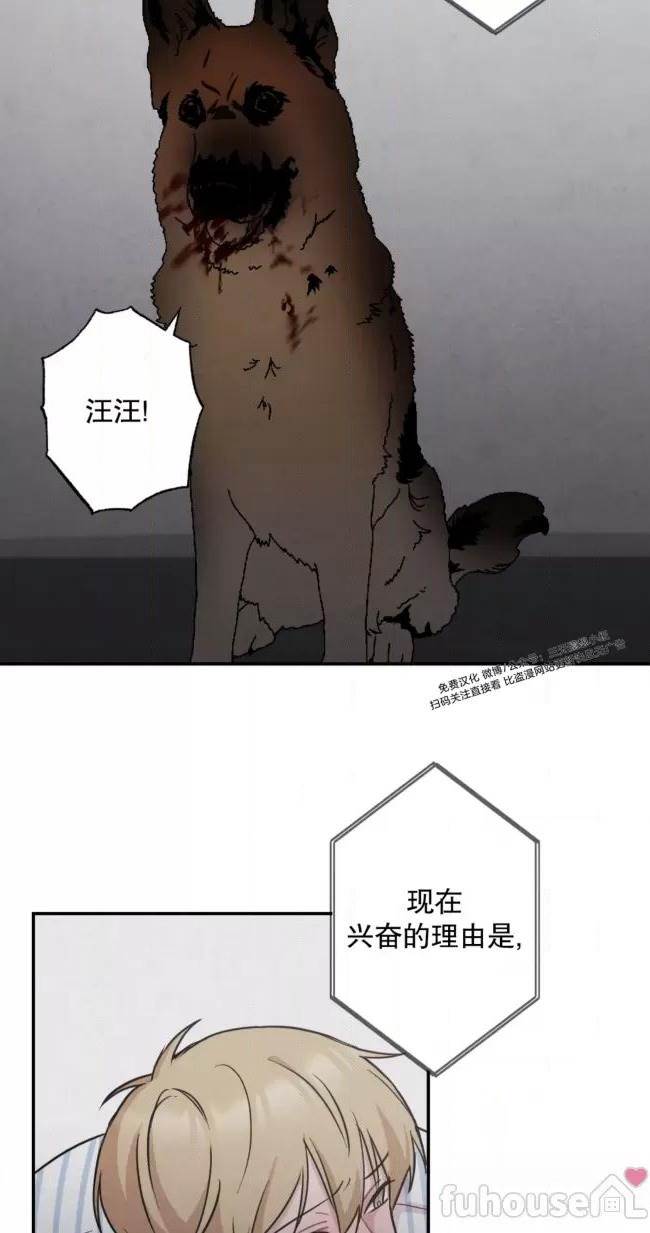 第 41 页