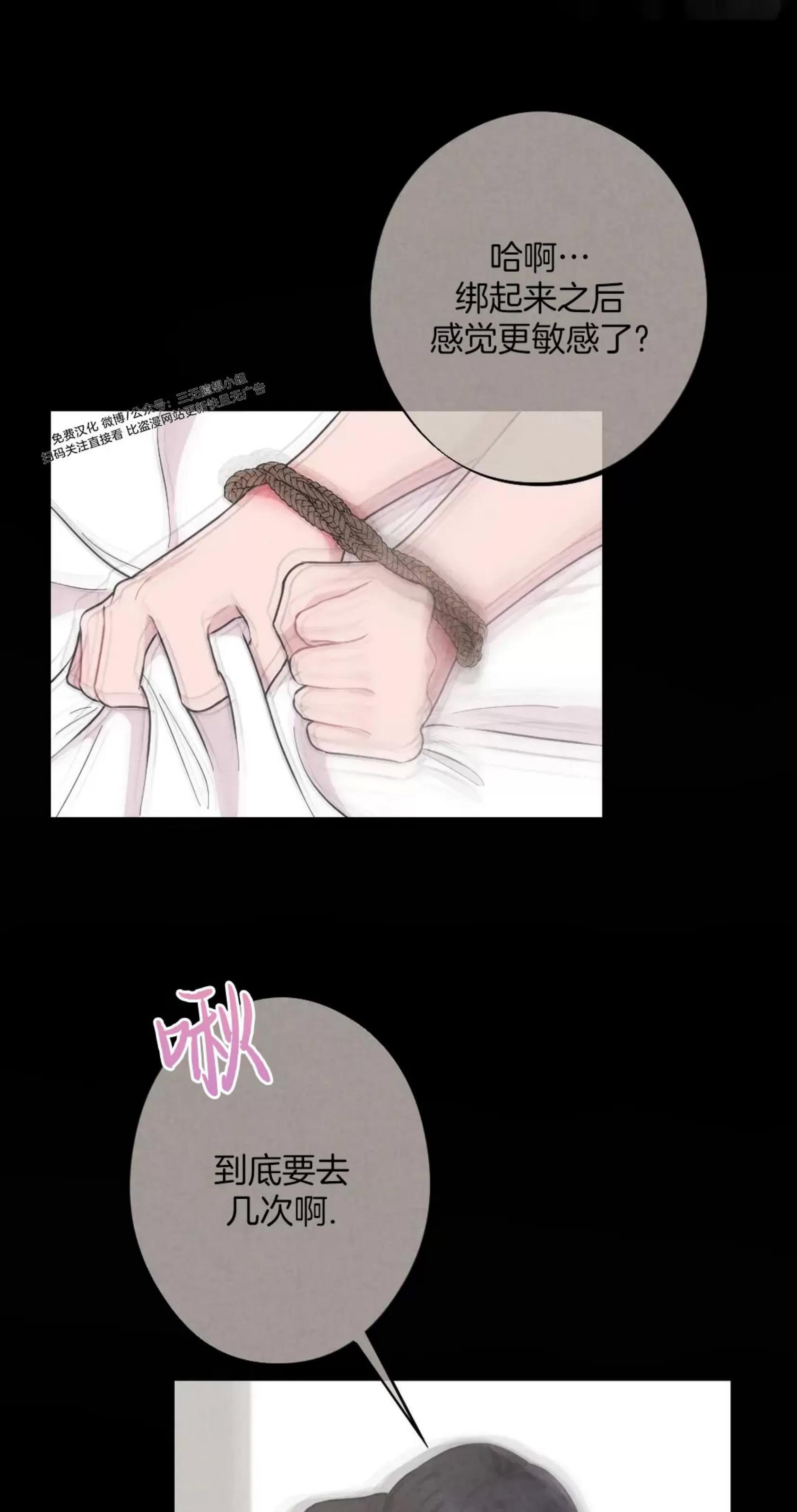 第 44 页