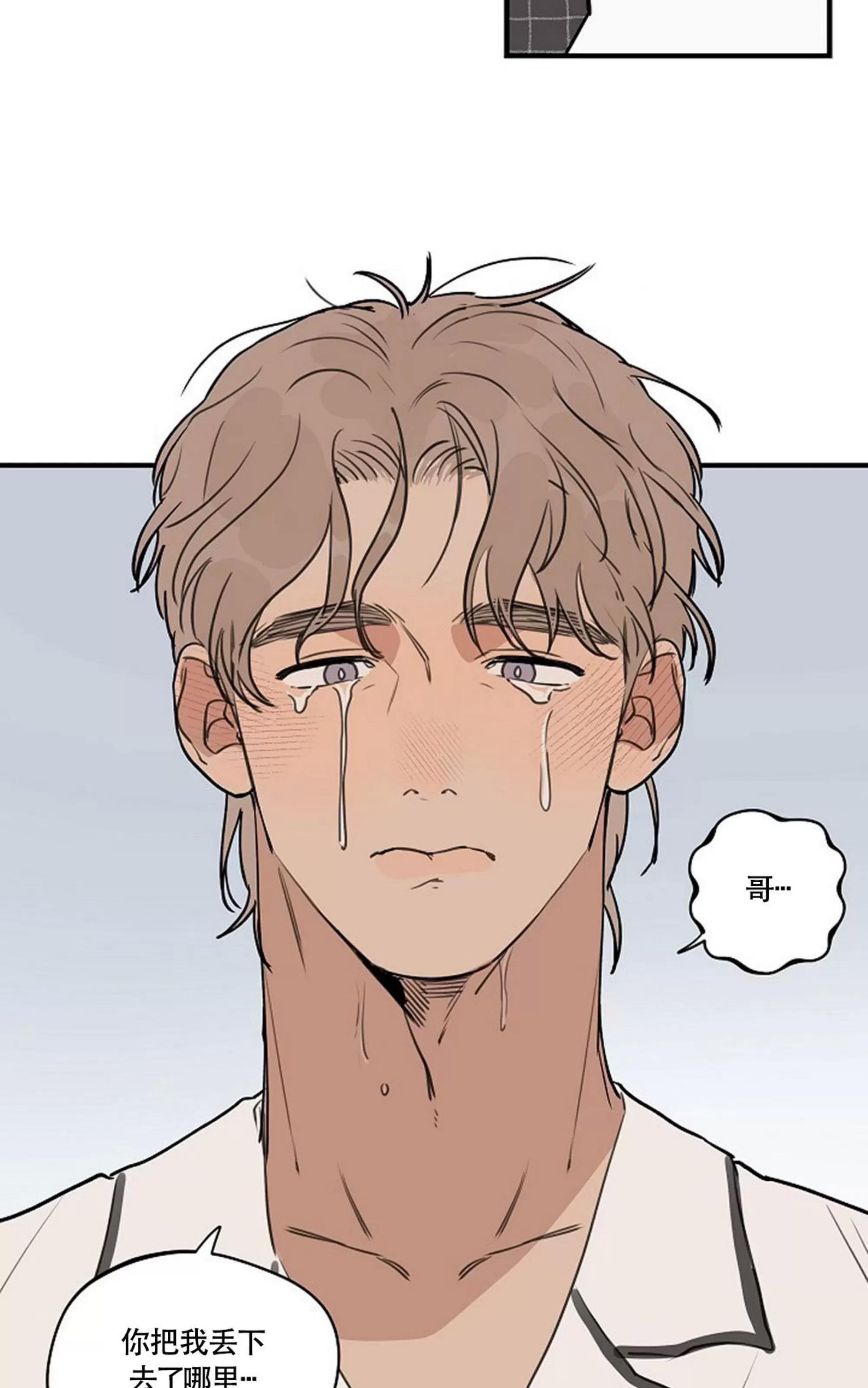 第 43 页