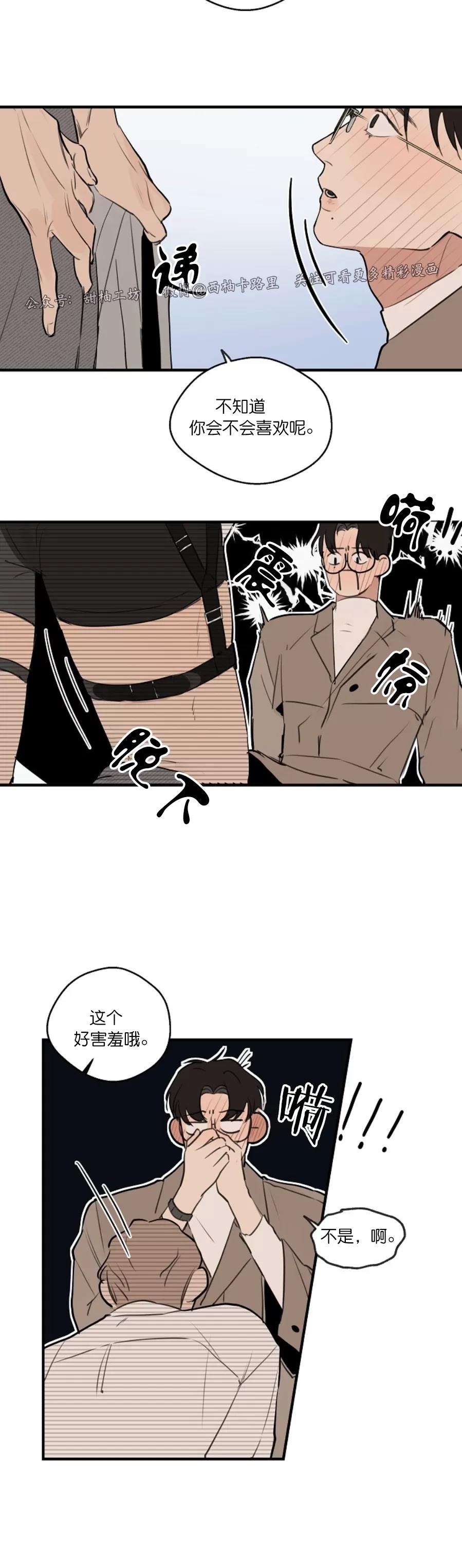 第 33 页