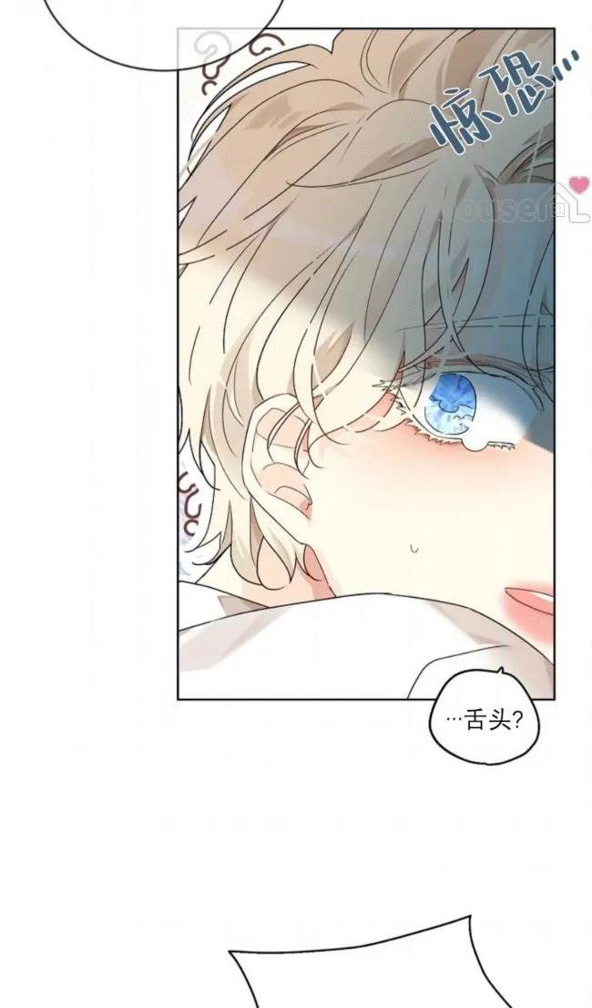 第 67 页