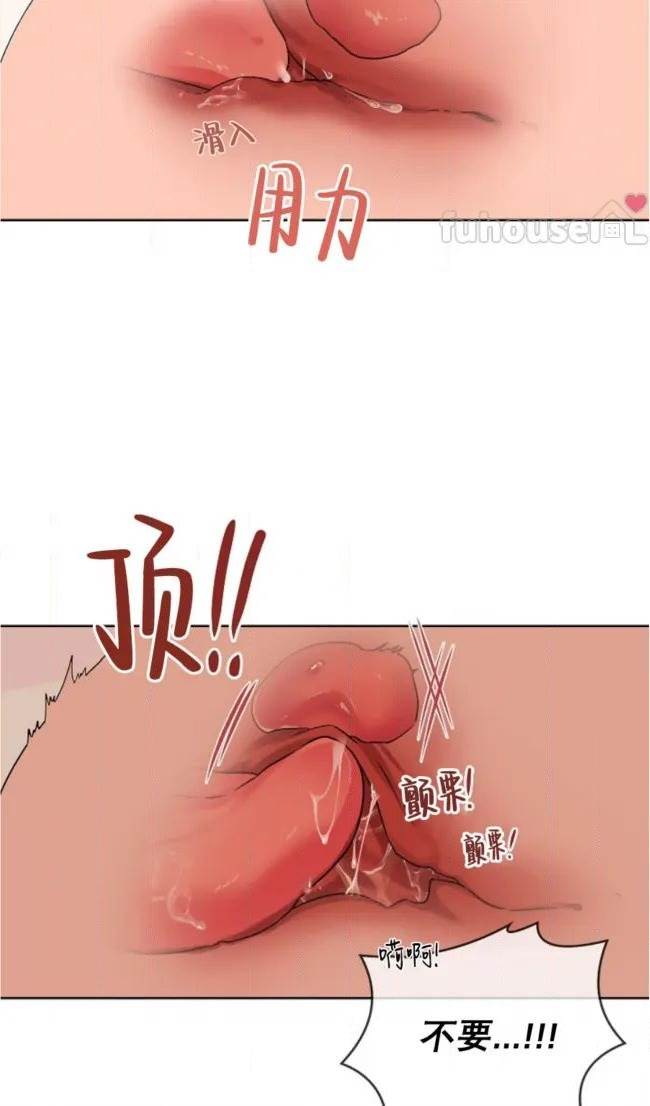 第 51 页