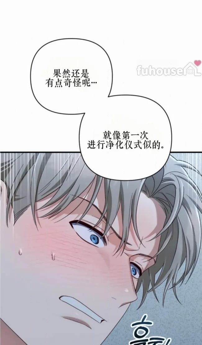 第 81 页