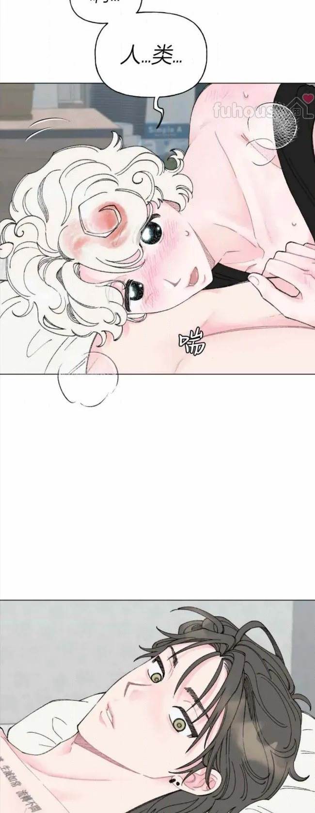 第 41 页