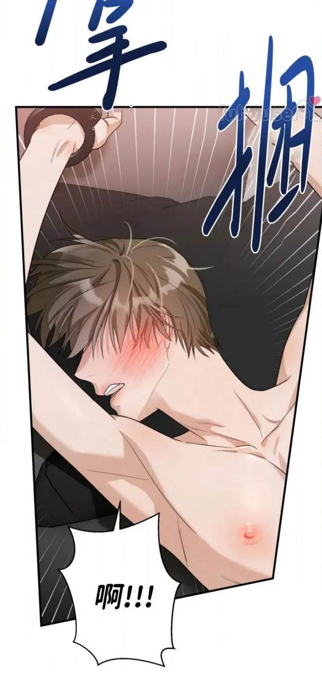 第 48 页