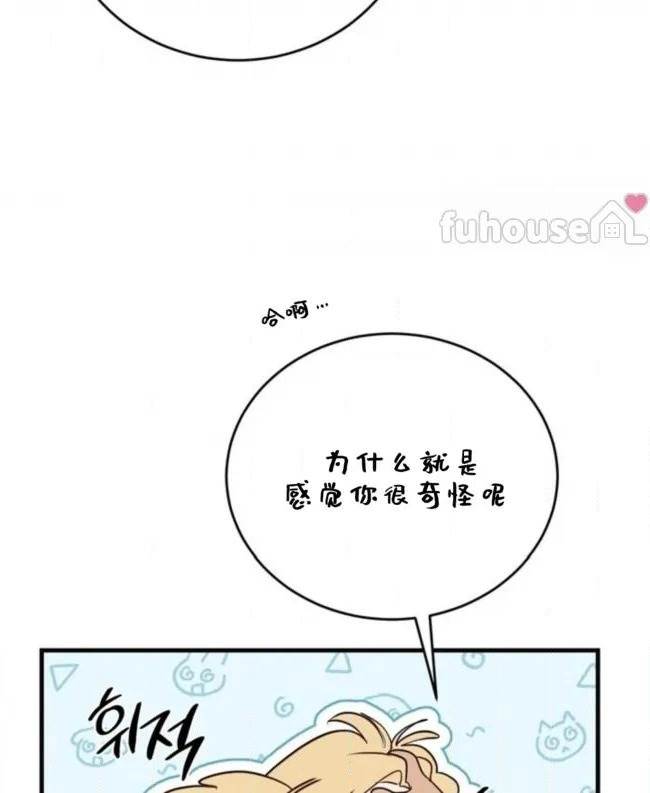 第 68 页