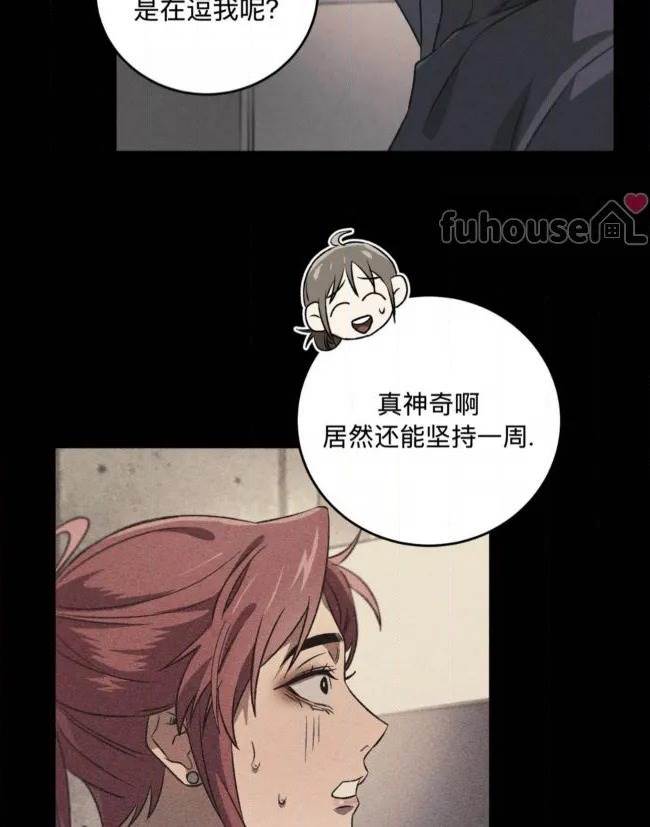 第 42 页