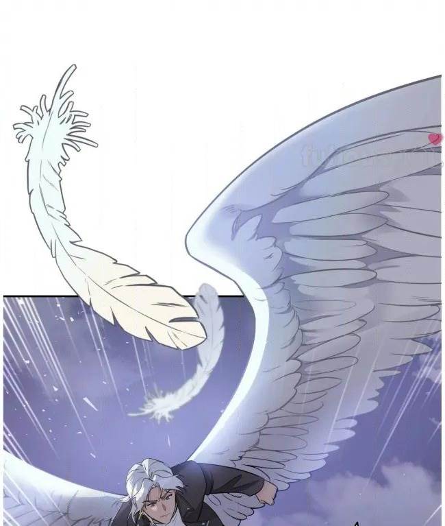 第 126 页