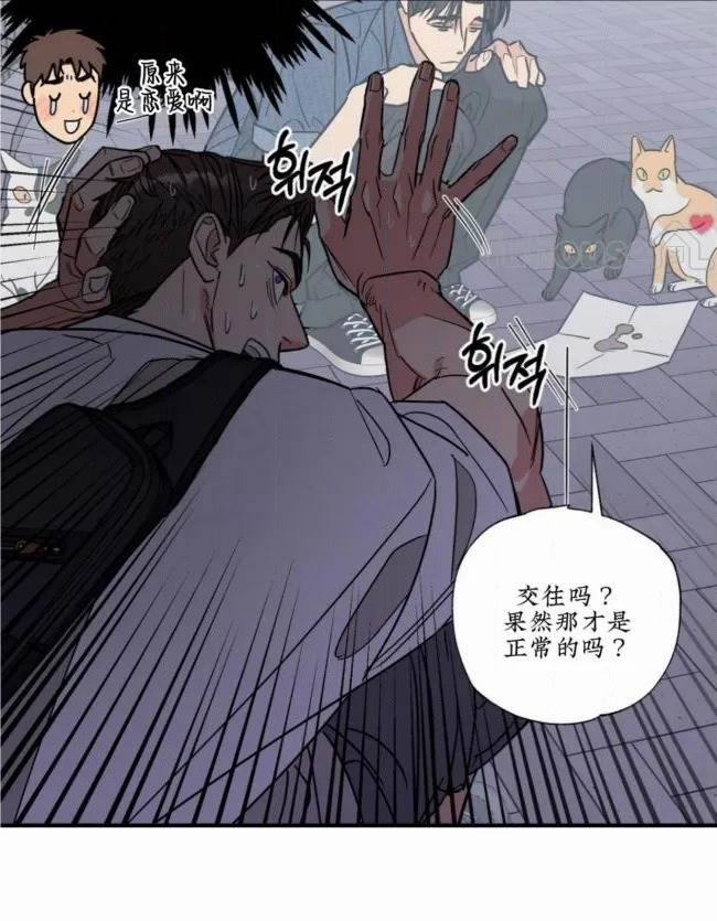 第 67 页