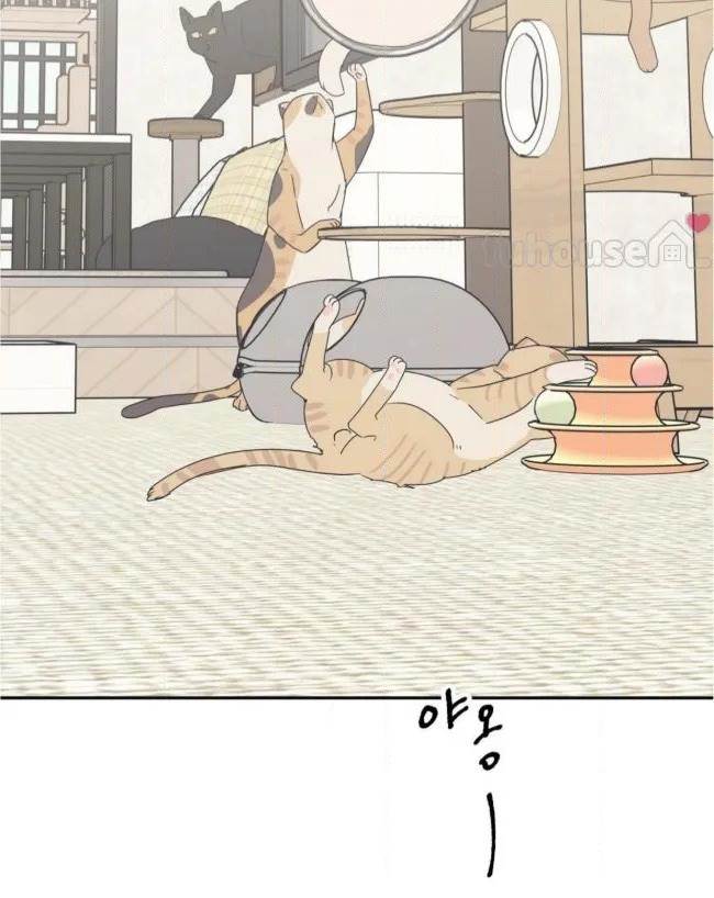 第 80 页
