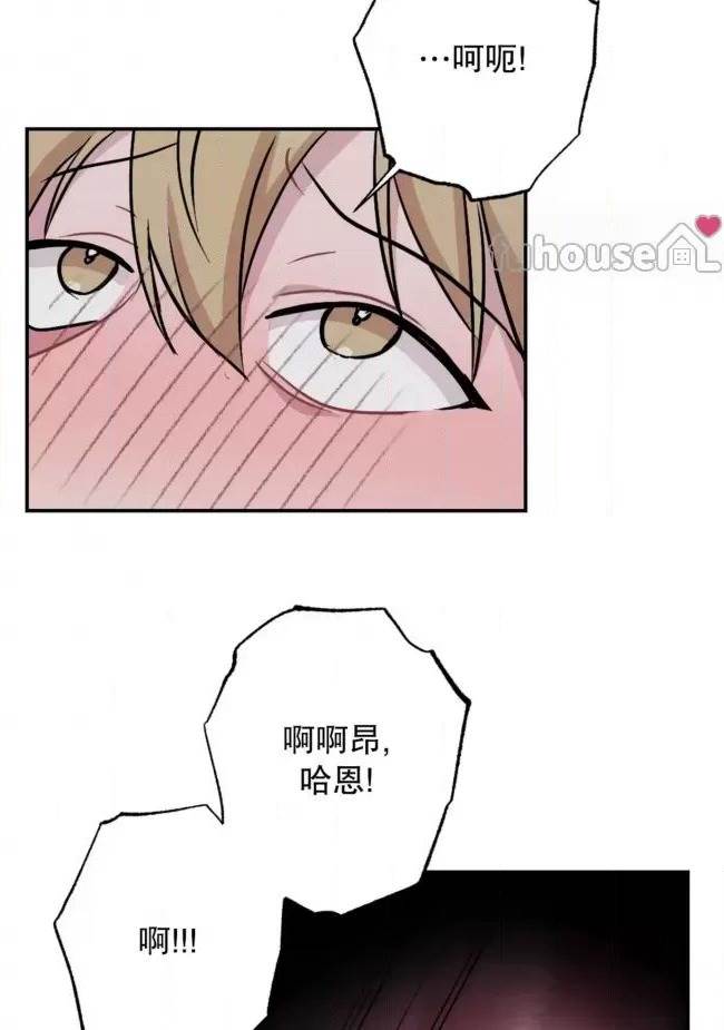 第 48 页