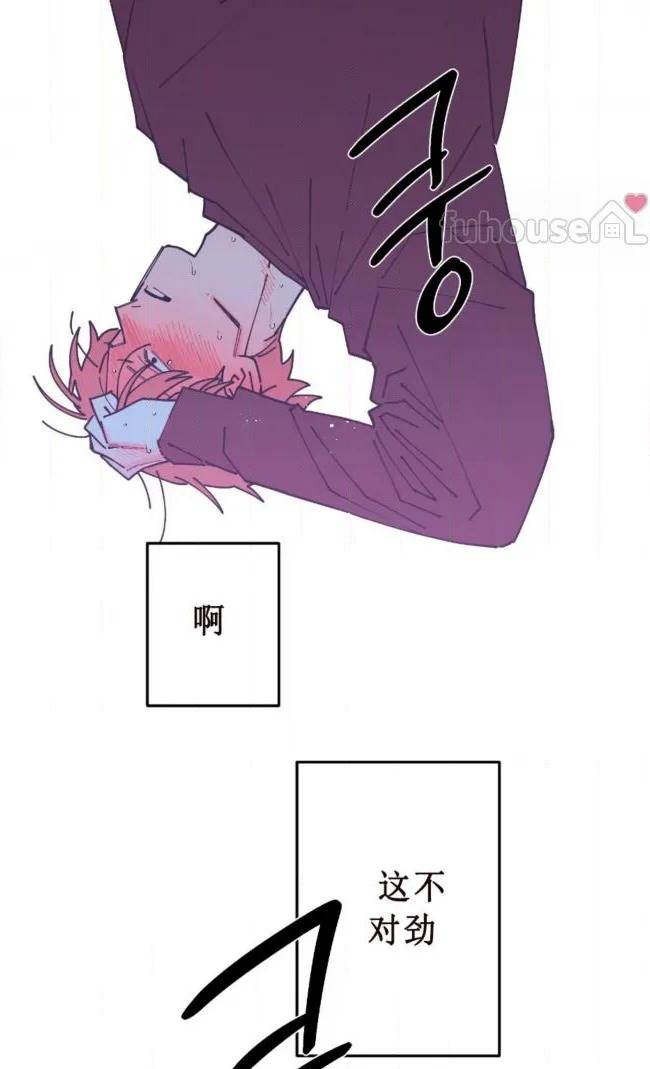 第 66 页
