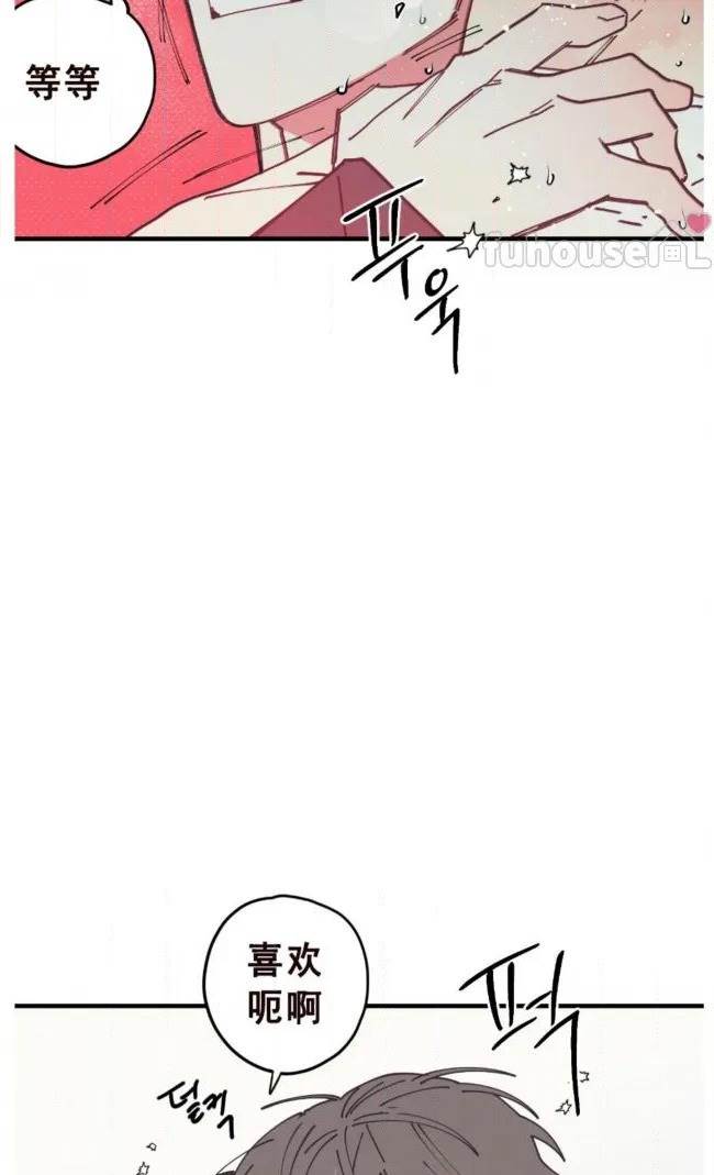 第 74 页