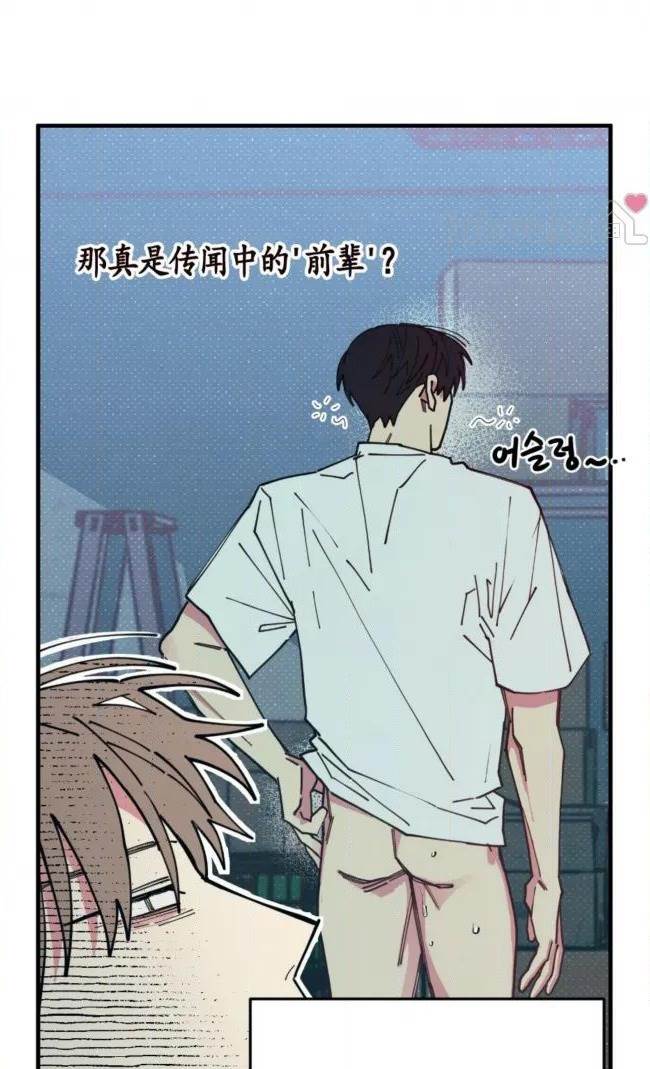 第 46 页
