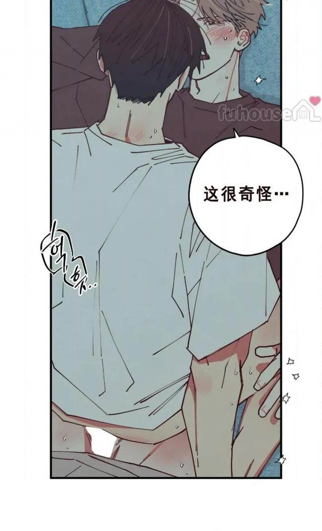第 51 页