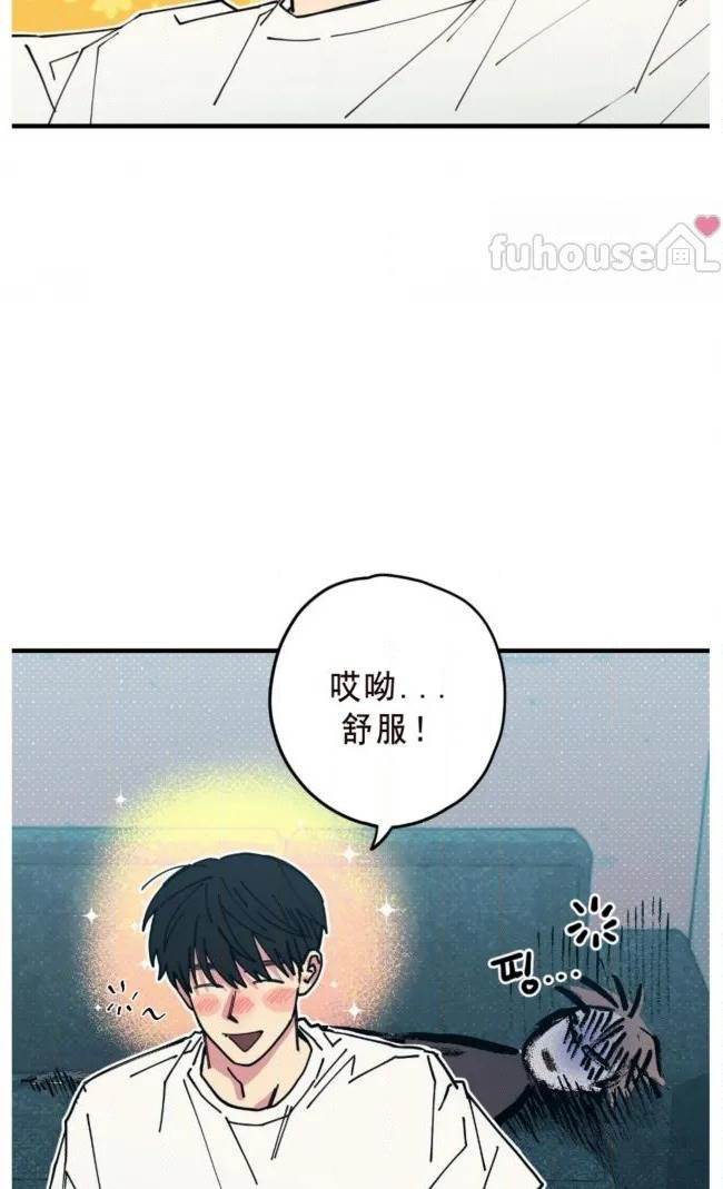 第 43 页