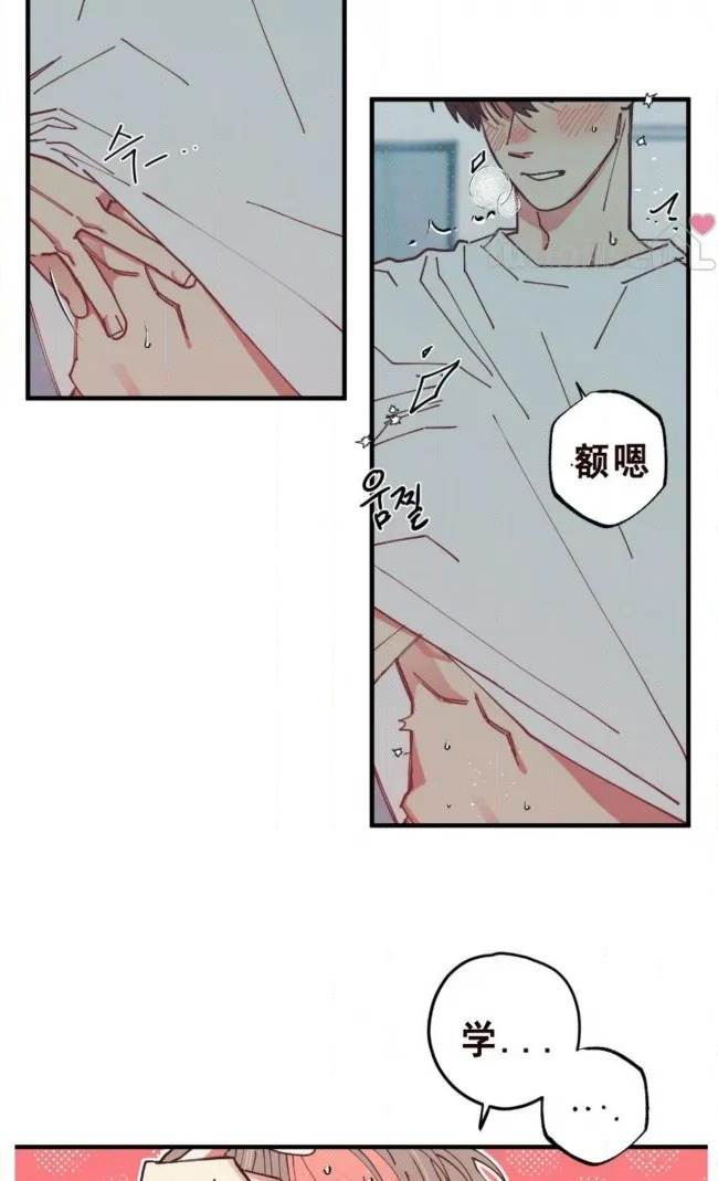 第 55 页