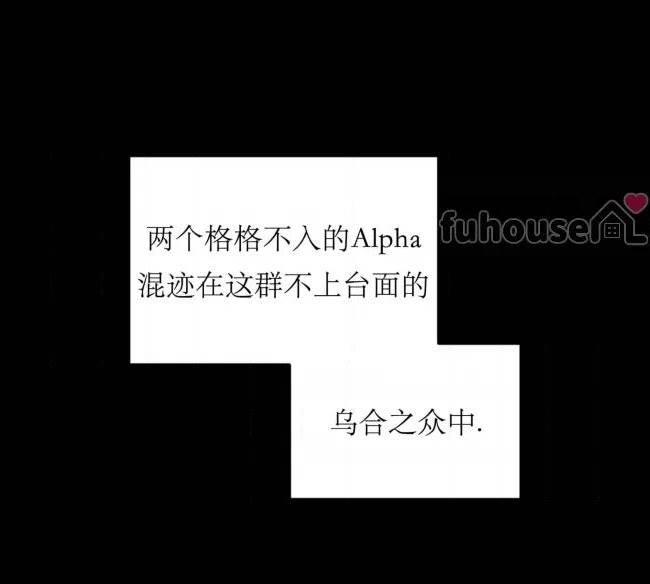 第 113 页