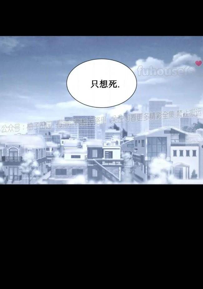 第 95 页