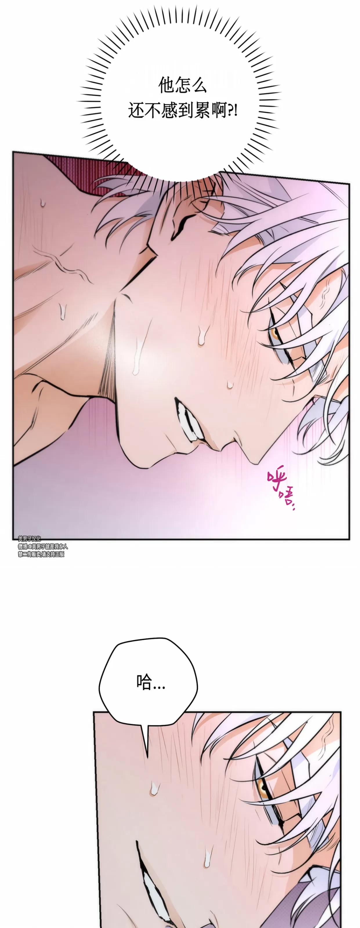 第 50 页
