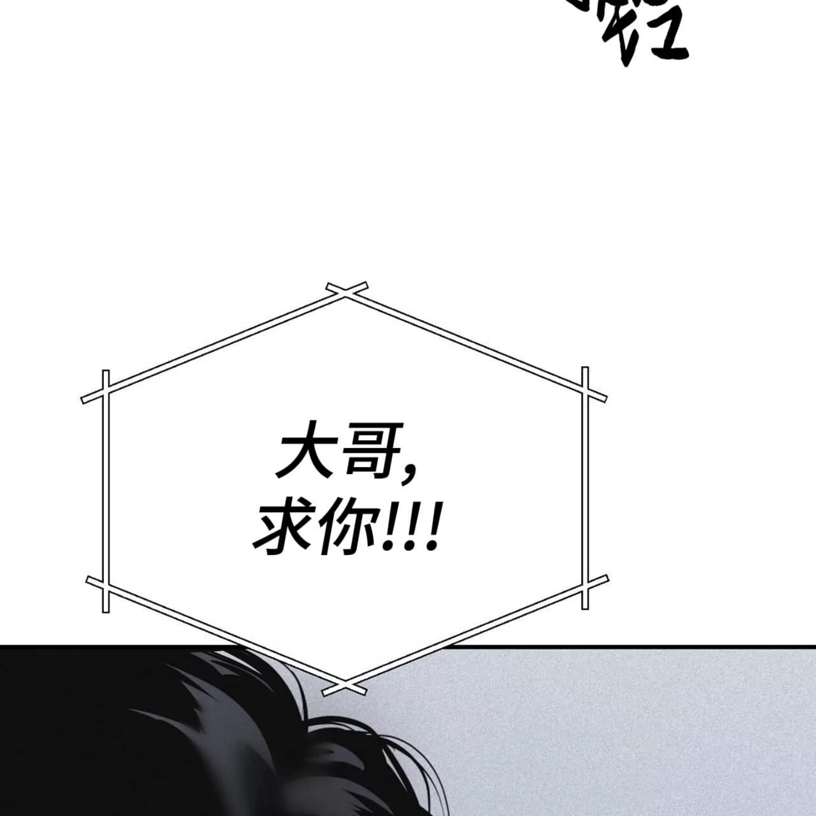 第 113 页