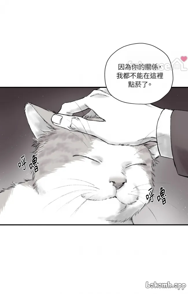 第 64 页