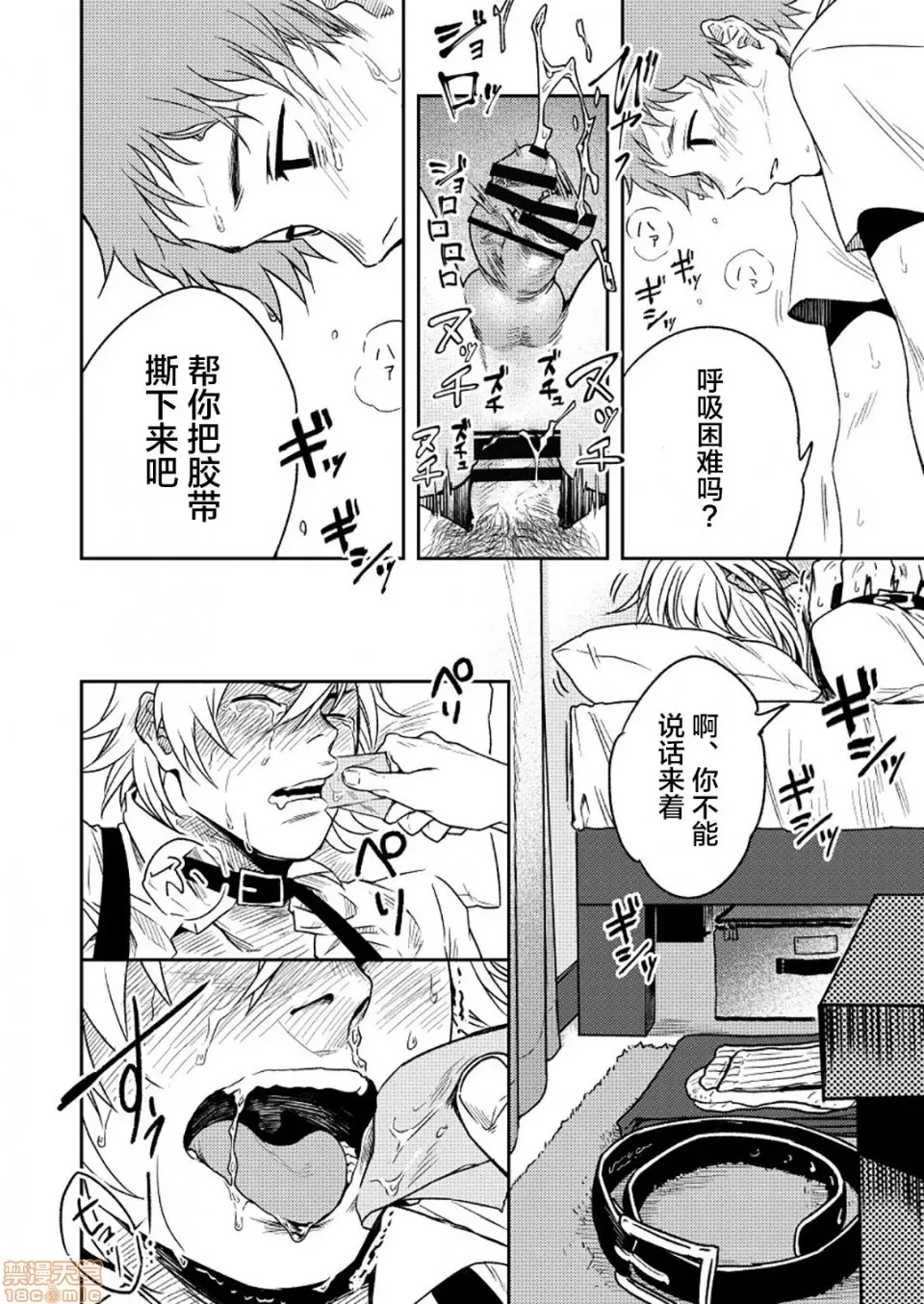 第 30 页