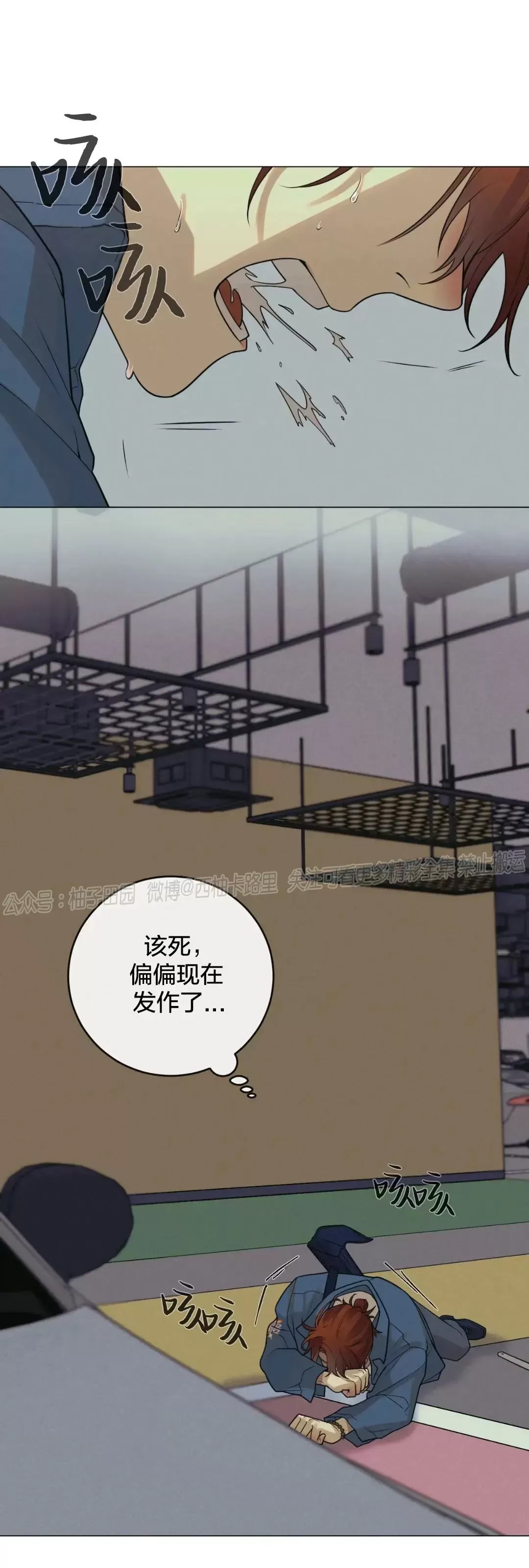 第 41 页