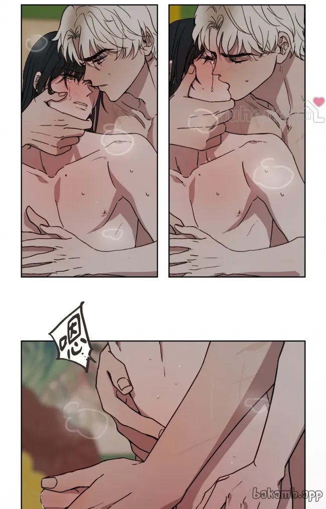 第 61 页