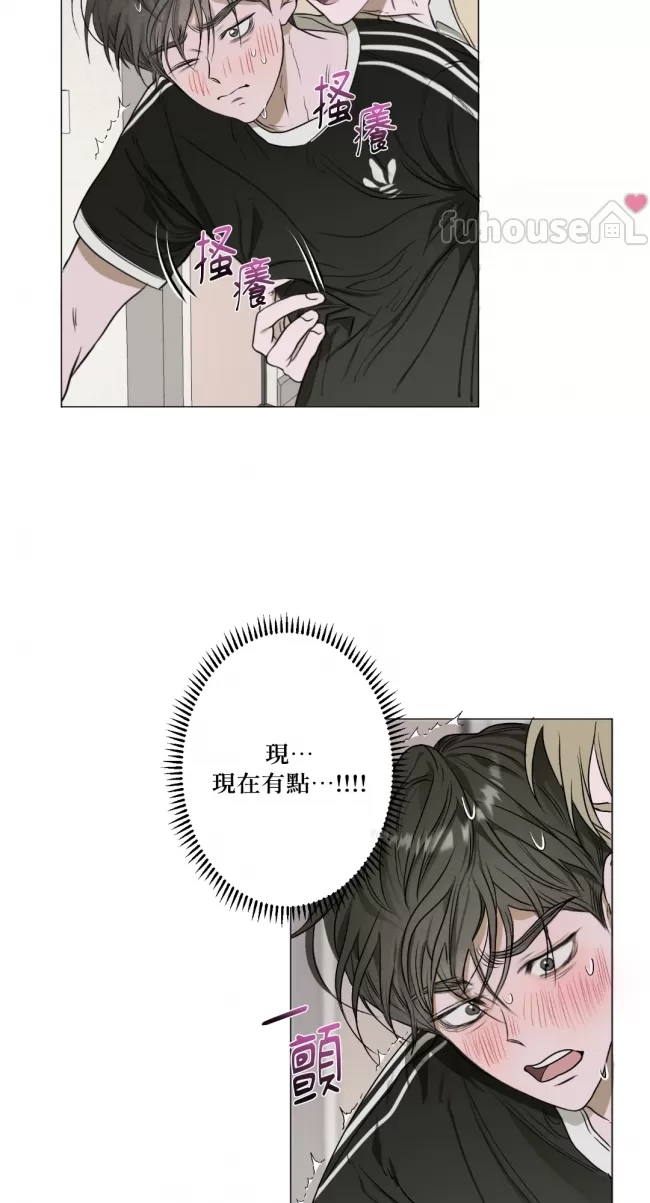 第 46 页
