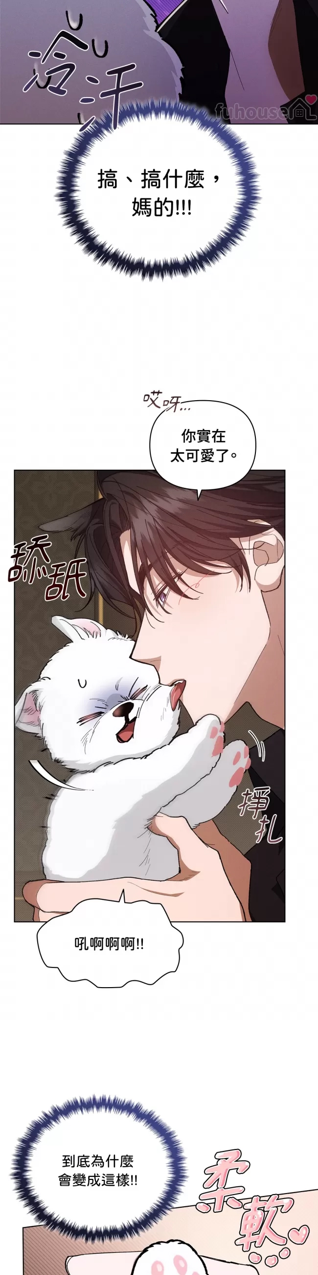 第 41 页