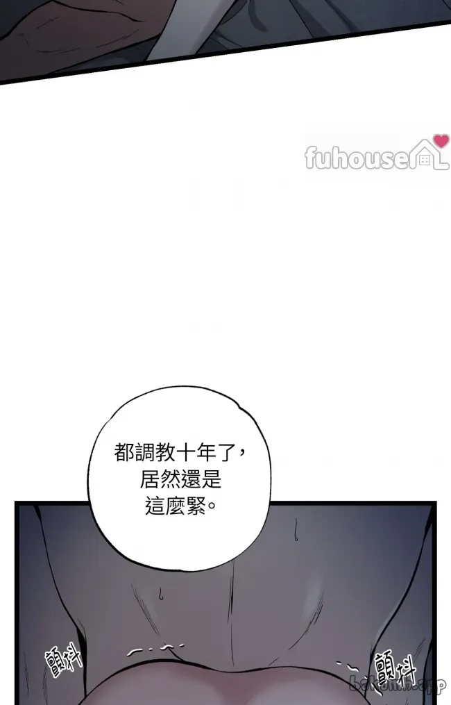第 53 页