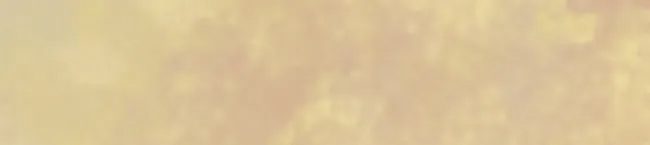 第 94 页