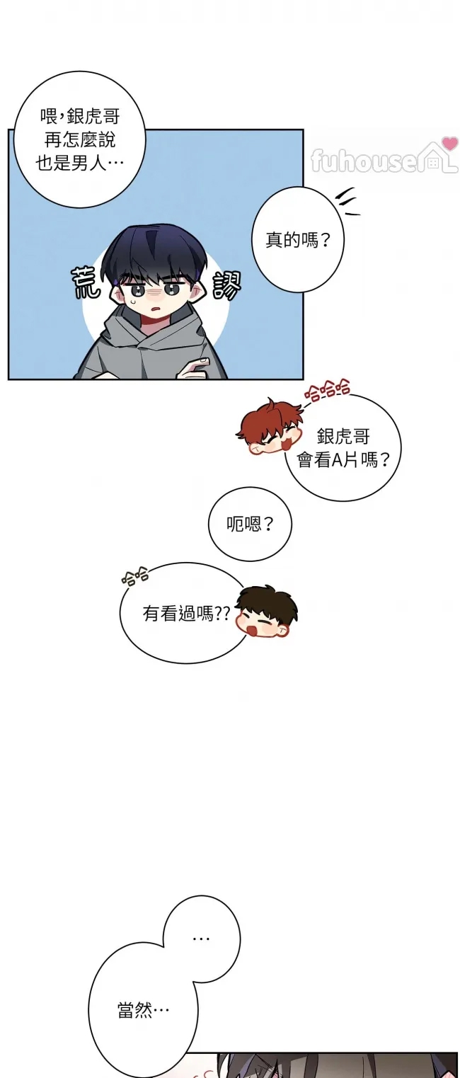 第 31 页