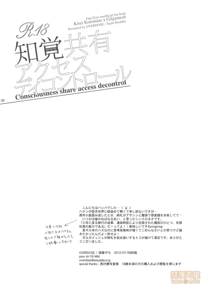 第 30 页
