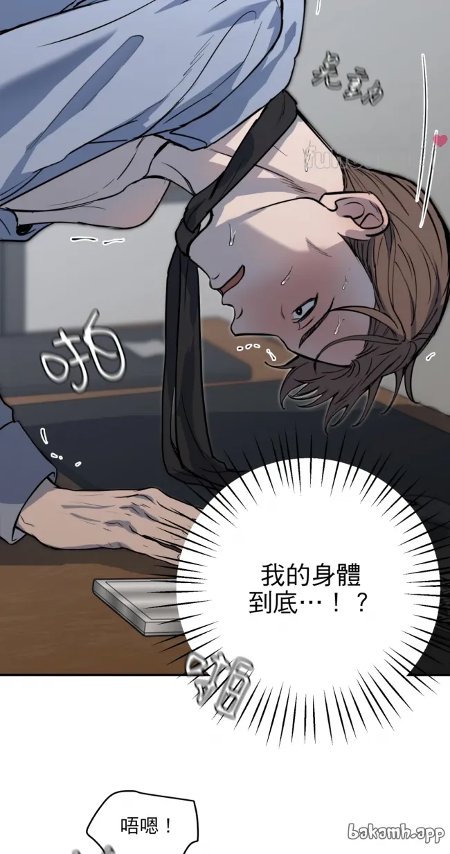 第 47 页