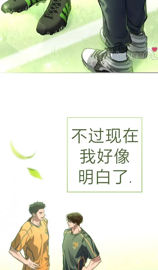 第 81 页