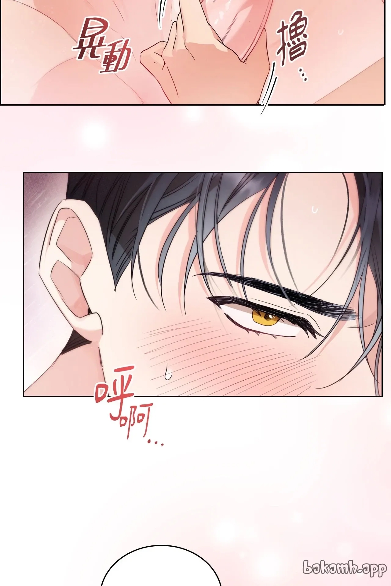第 60 页