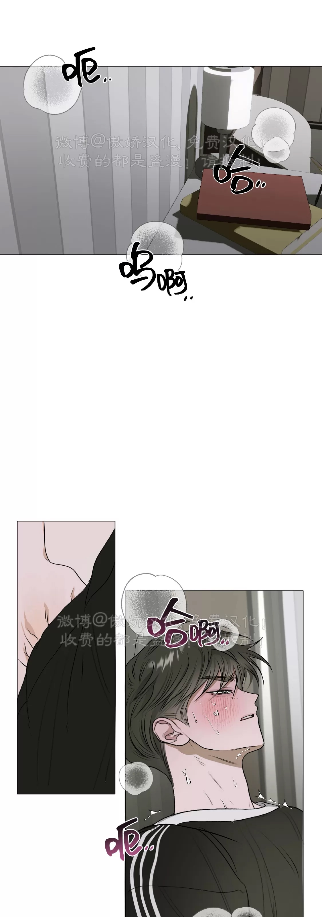 第 46 页