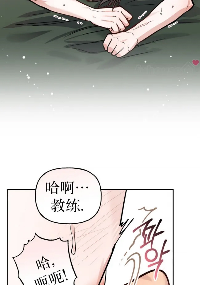第 66 页