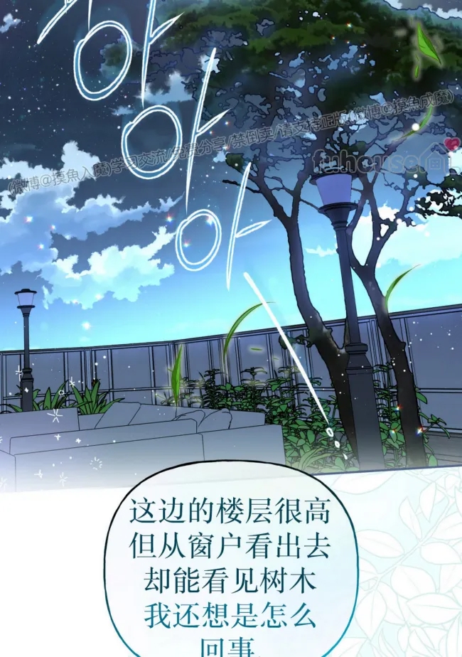 第 61 页