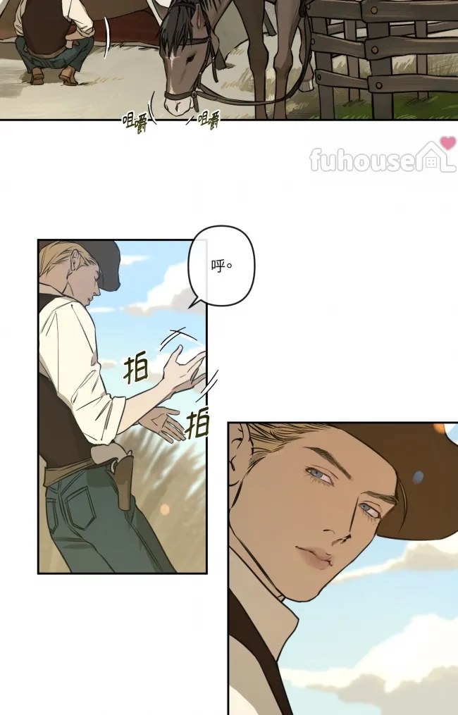 第 37 页