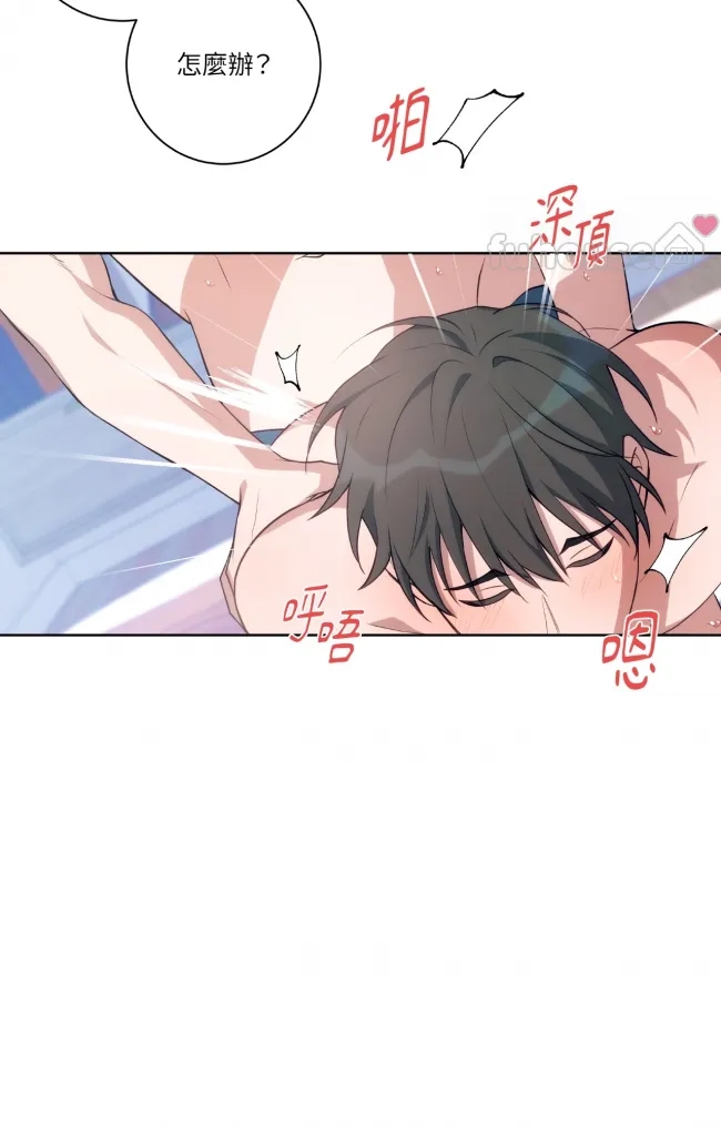 第 31 页