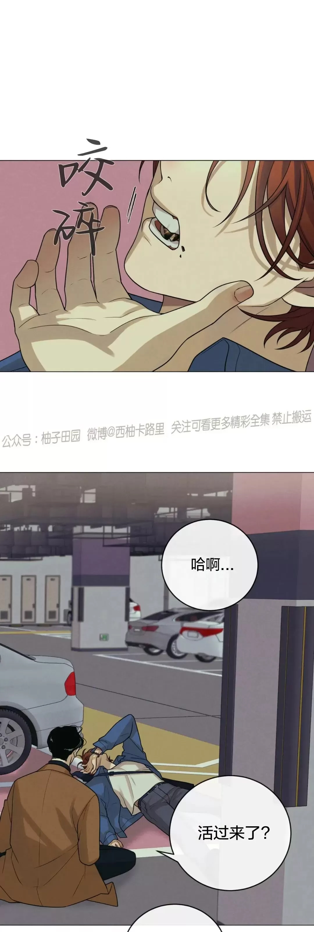第 53 页