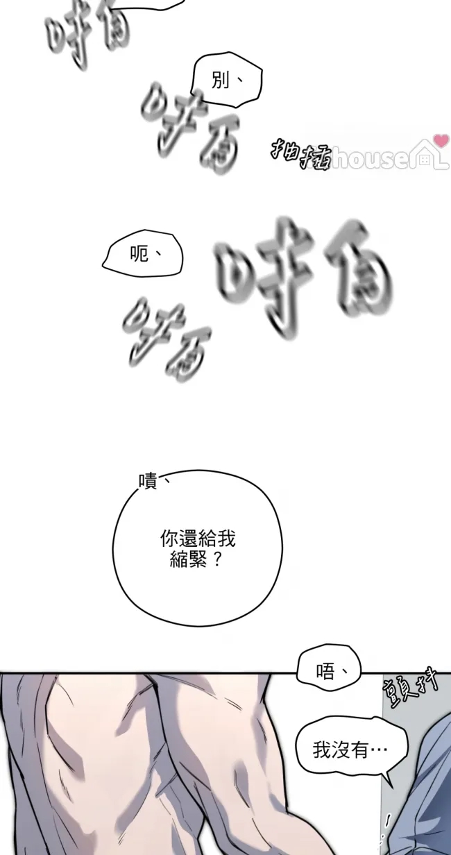 第 48 页