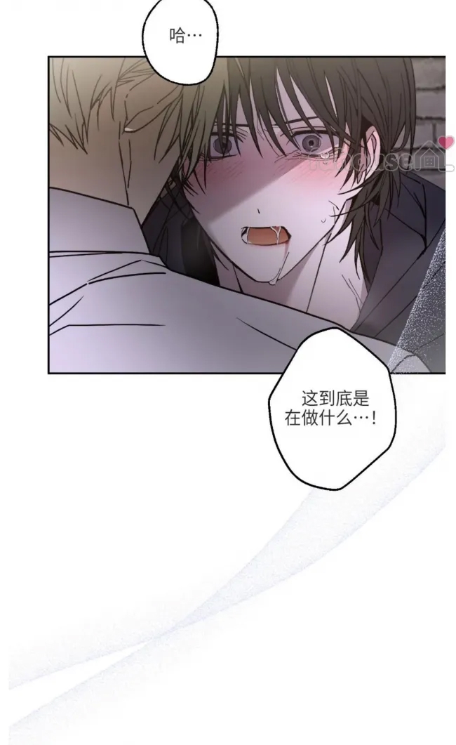 第 86 页